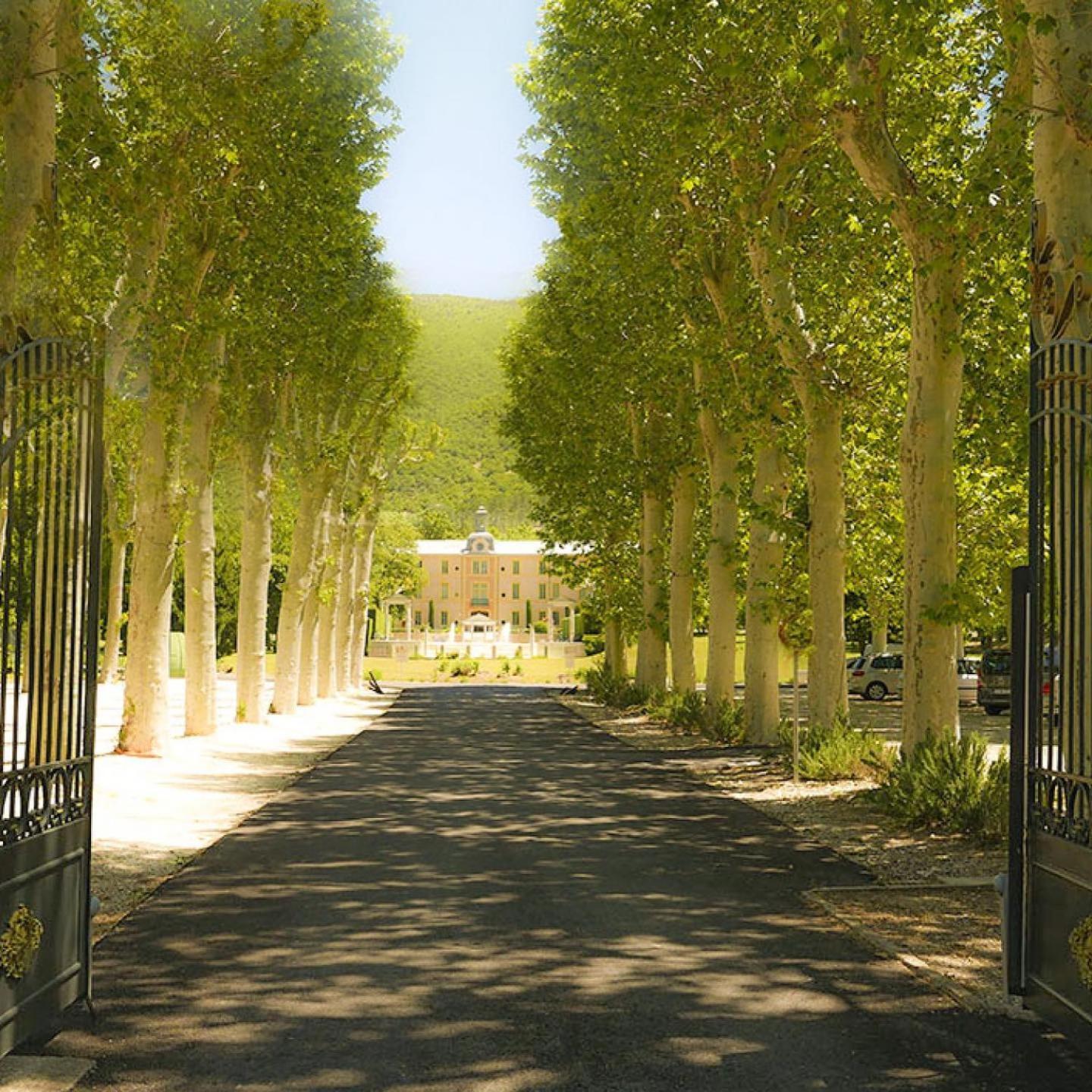 Chateau Des Gipieres Bij De Mont Ventoux Montbrun-les-Bains Kültér fotó