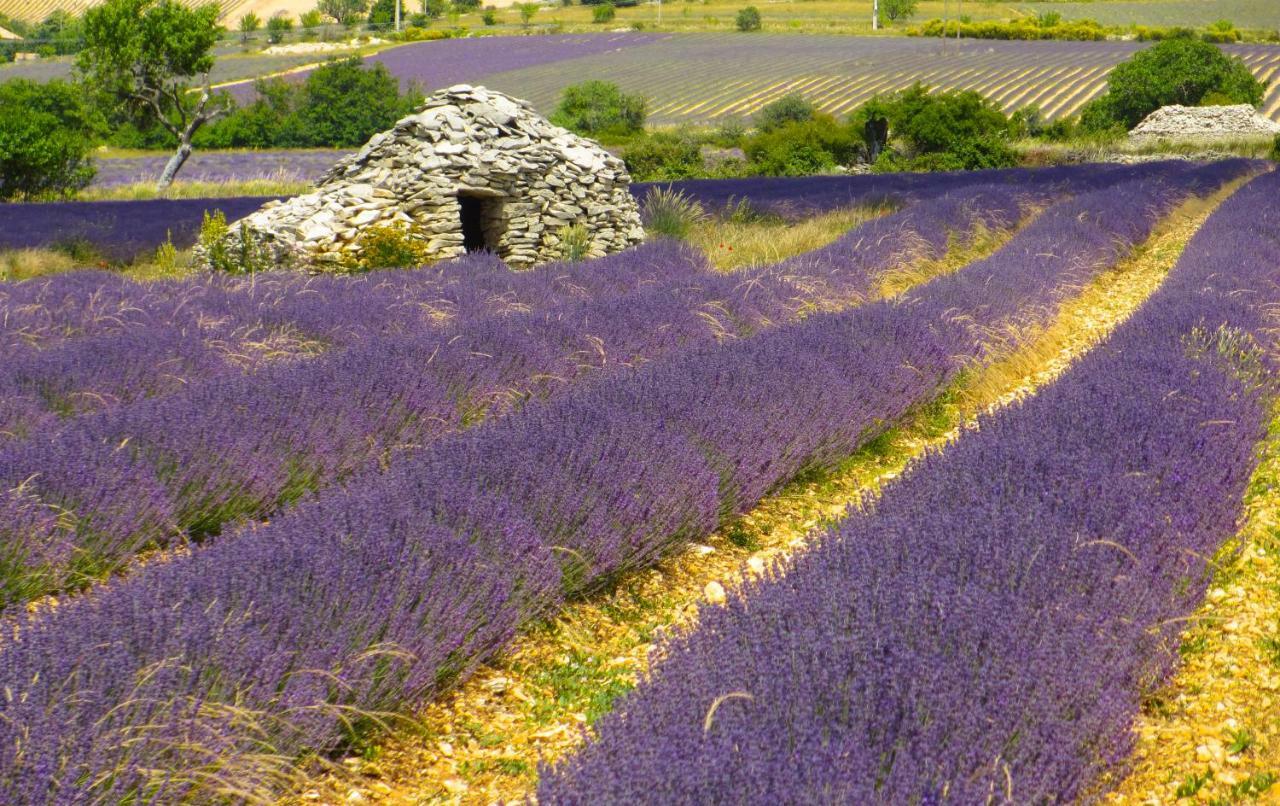 Chateau Des Gipieres Bij De Mont Ventoux Montbrun-les-Bains Kültér fotó