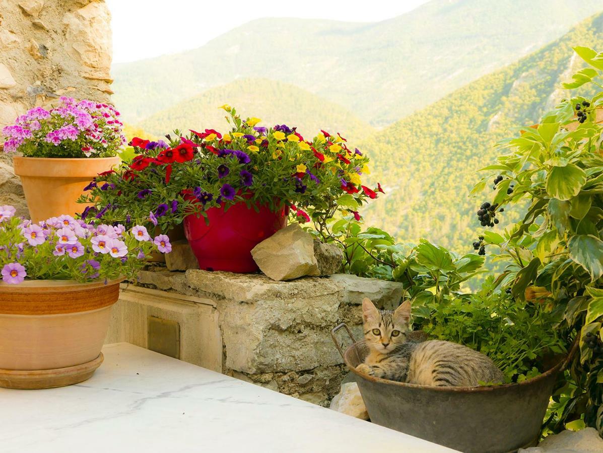Chateau Des Gipieres Bij De Mont Ventoux Montbrun-les-Bains Kültér fotó
